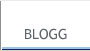 Blogg - innhold og aktivitet