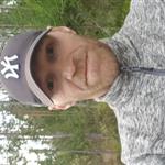 Brunbjørn