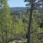 Furuholmen