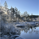 Gunnhild