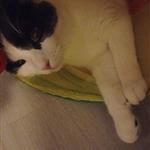 Merete