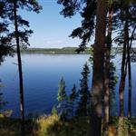 Ringerike